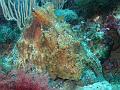 IMG_4499 r1